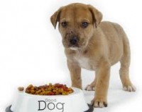 /album/fenykepgaleria/imagesca5an5qb-jpg1/