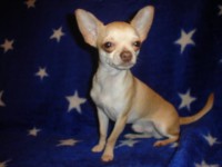 /album/fenykepgaleria/a18291611-1-jpg/