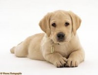 /album/fenykepgaleria/imagescab40snt-jpg/